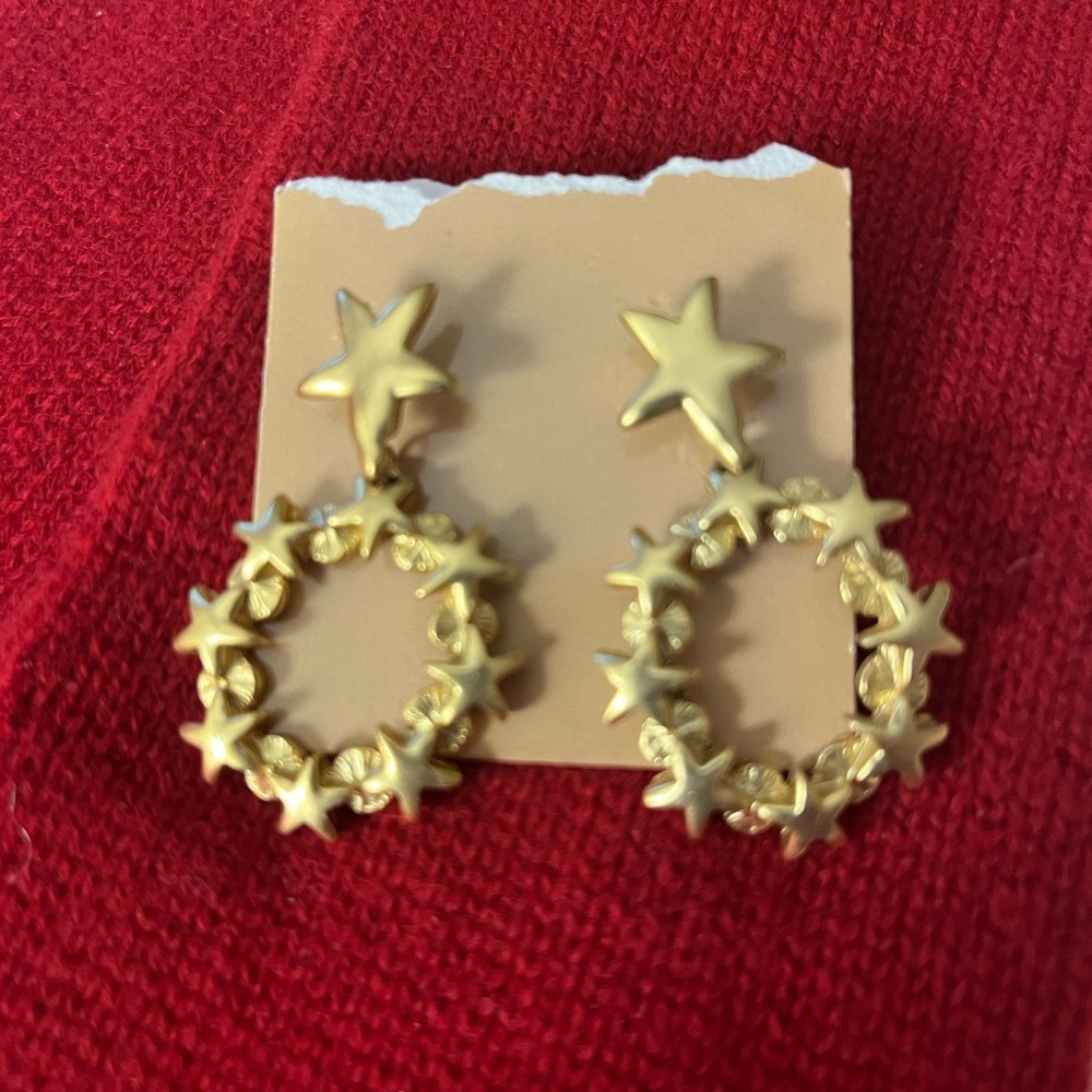 Pierced Ear Rings BNWT